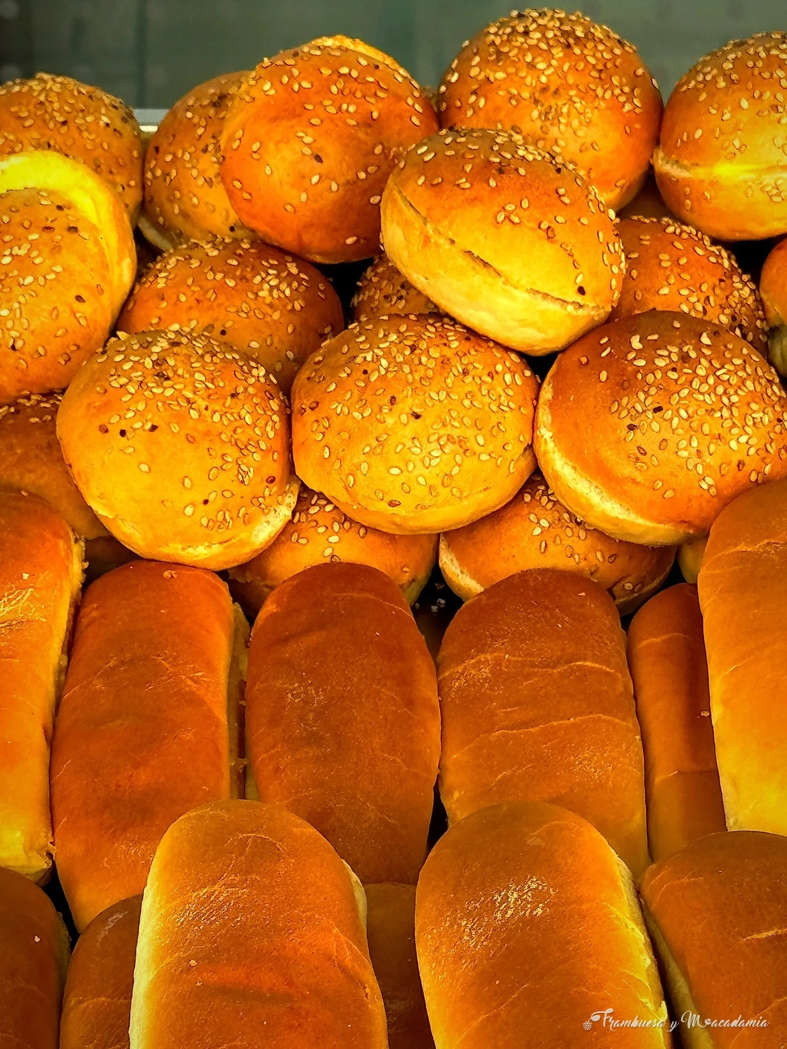 Panes artesanales con ajonjolí para sliders y hot dogs