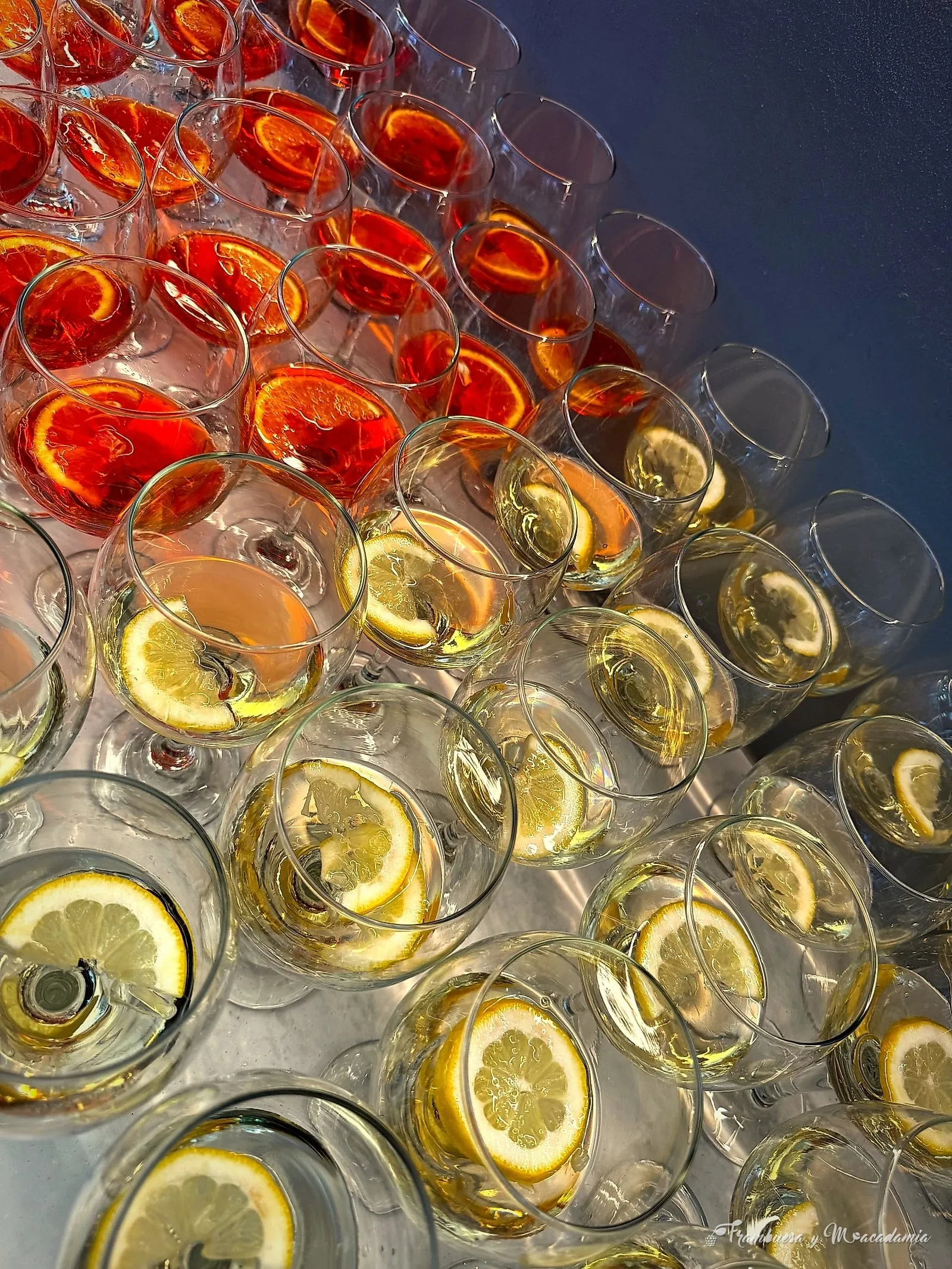 Copas de coctel spritz con naranja y limón listas para servir