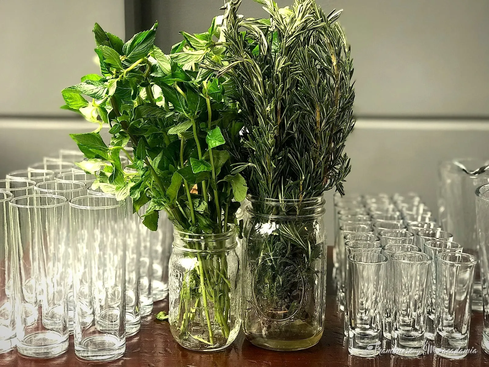 Cristalería con hierbas frescas para coctelería: menta y romero