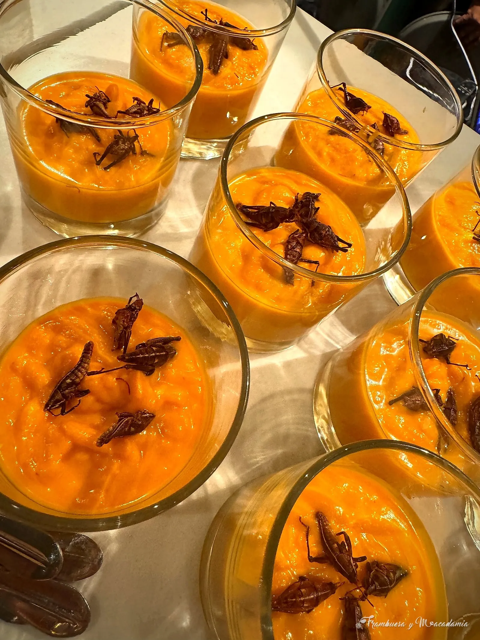 Shots de crema con chapulines, bocado de autor para coctel